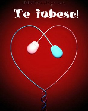 Te Iubesc!